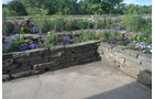 Property photo 45 - REAL ESTATE AUCTION - 26+/- ACRES IN 3 TRACTS IN SOUTHWEST ALLEN COUNTY, INDIANA